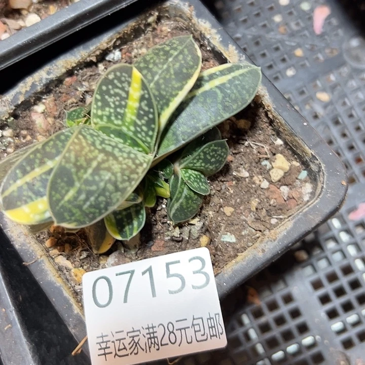 幸运的是我还没遇到过