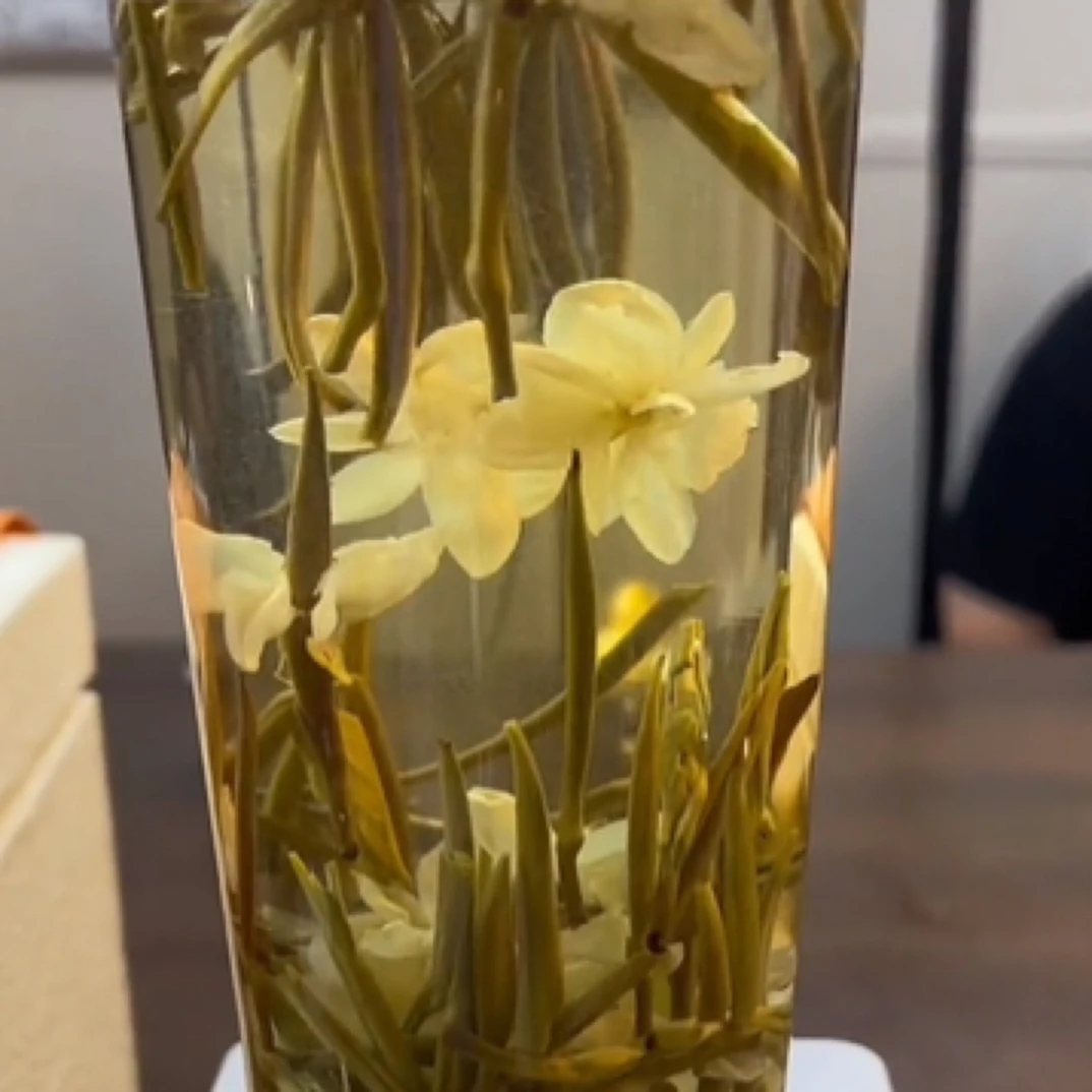 【十七推荐】茉莉花茶  茉莉银针 花香盒装  清香型 全牙尖