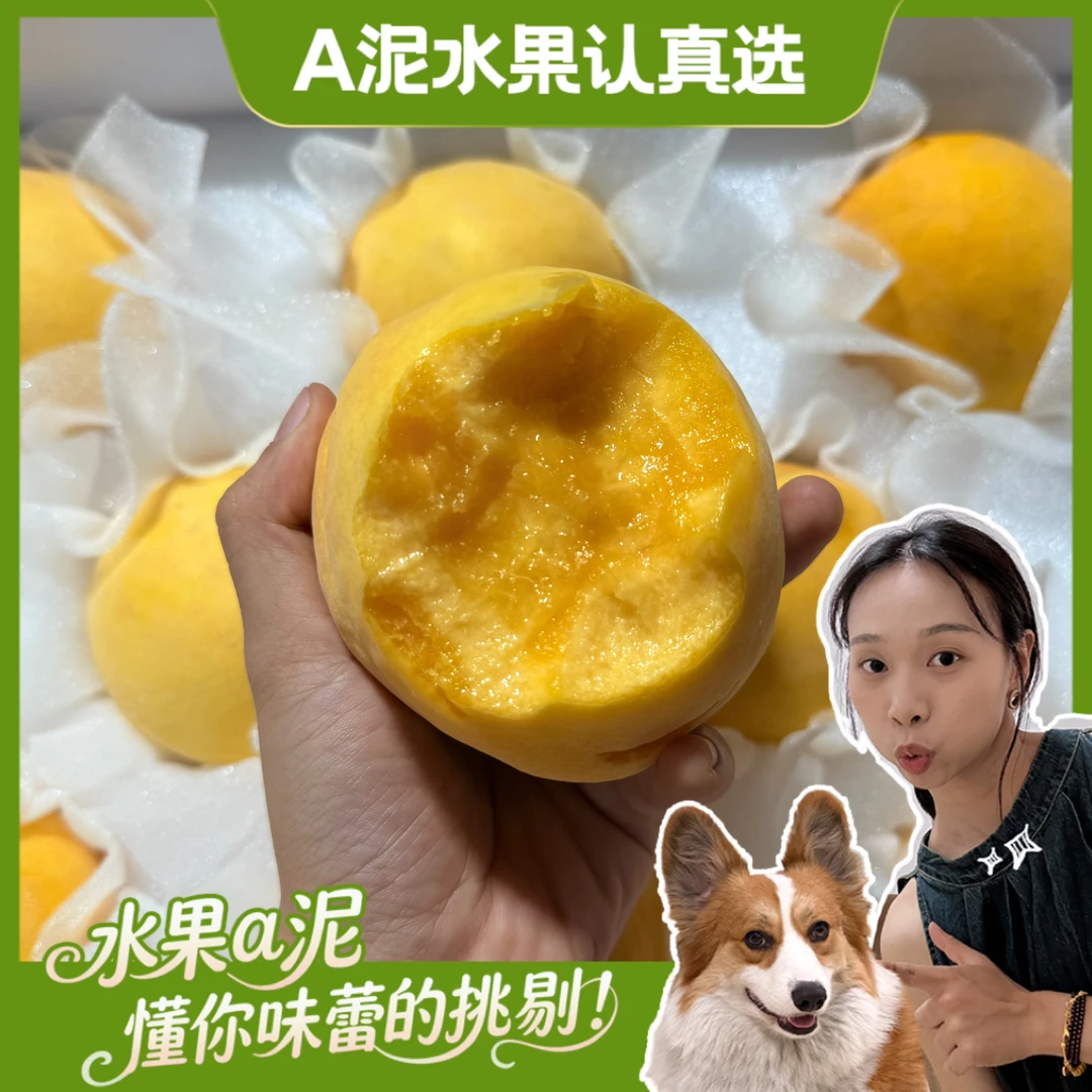 陕西坡地种植超甜“黄玉蜜桃”4.8-5斤礼盒装【坏果包赔+顺丰包邮】