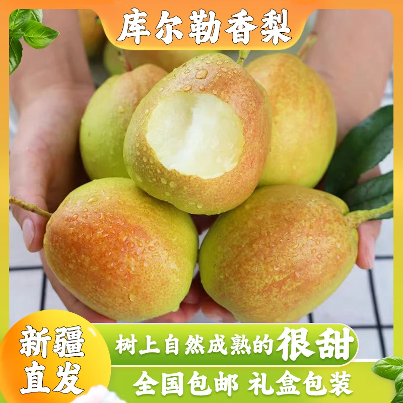 正宗新疆库尔勒香梨新鲜当季水果薄皮脆甜孕妇精品果特产彩箱礼盒