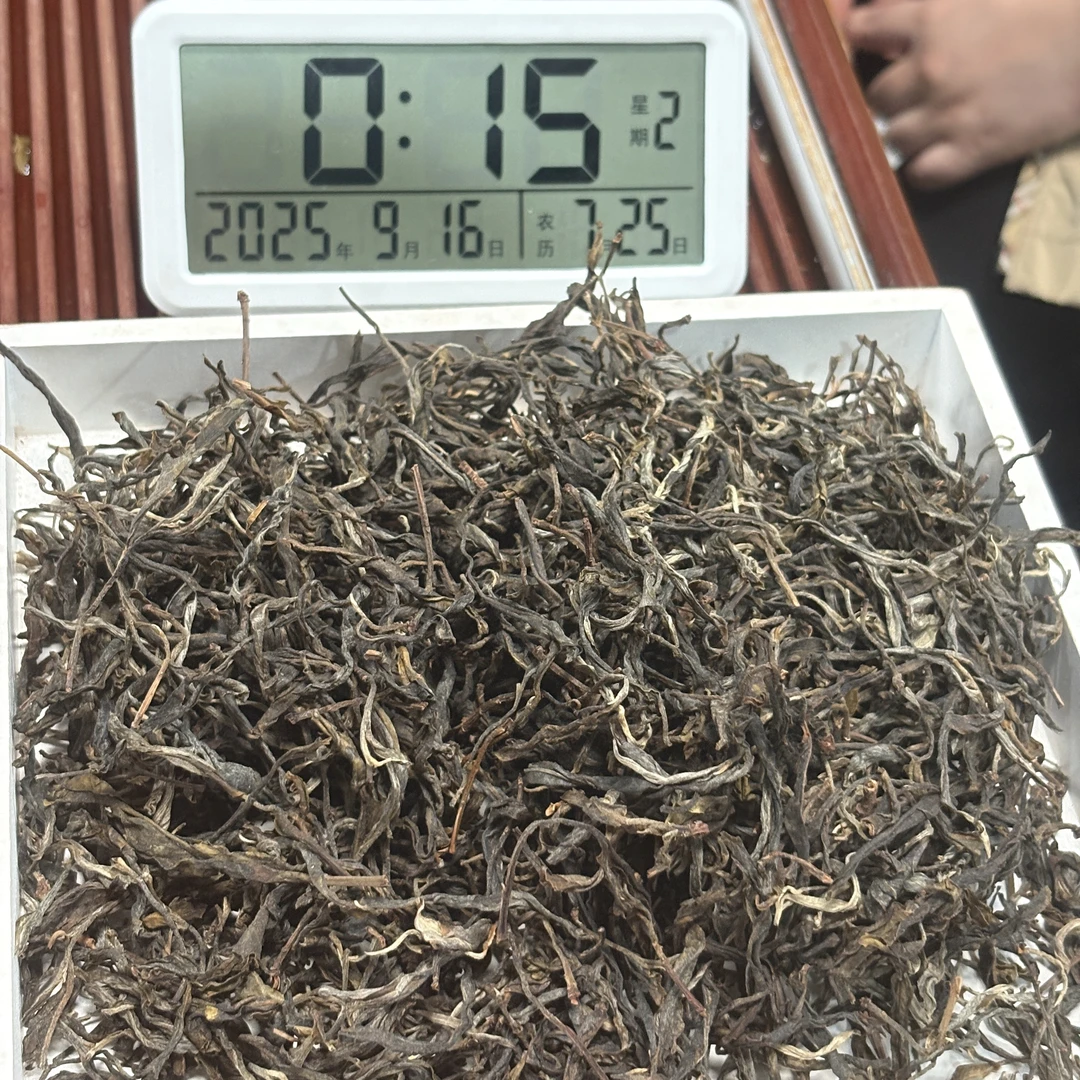 2019年正气塘大树 春  生普散茶 250克【236号】9-15