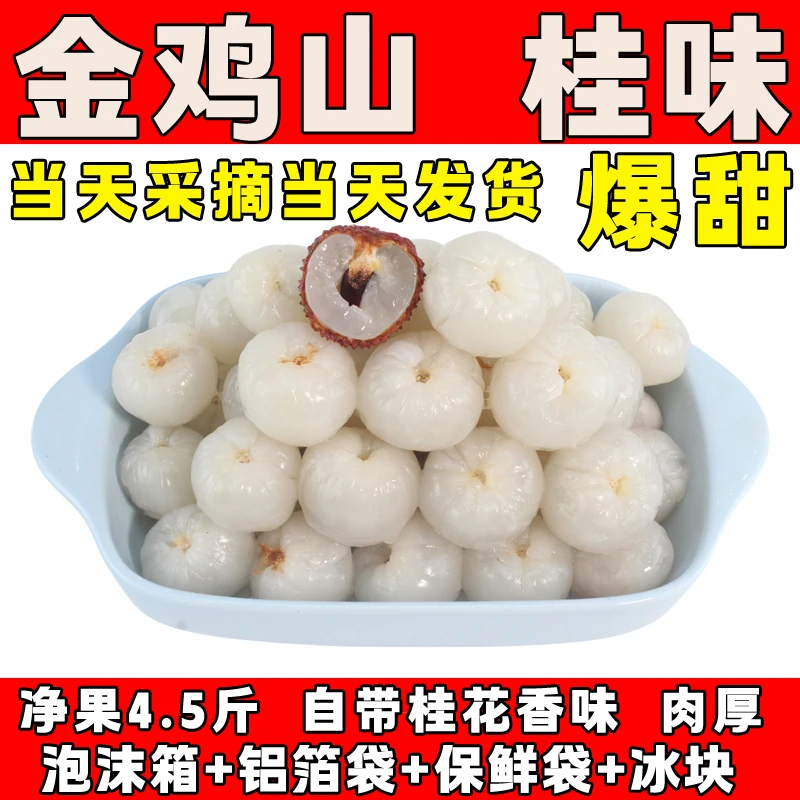 老树高州福建汕尾新鲜采摘桂味荔枝包邮当季应季水果保鲜发货整箱