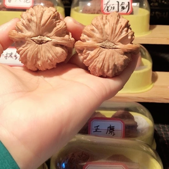 卡姿兰大眼睛的白狮子48