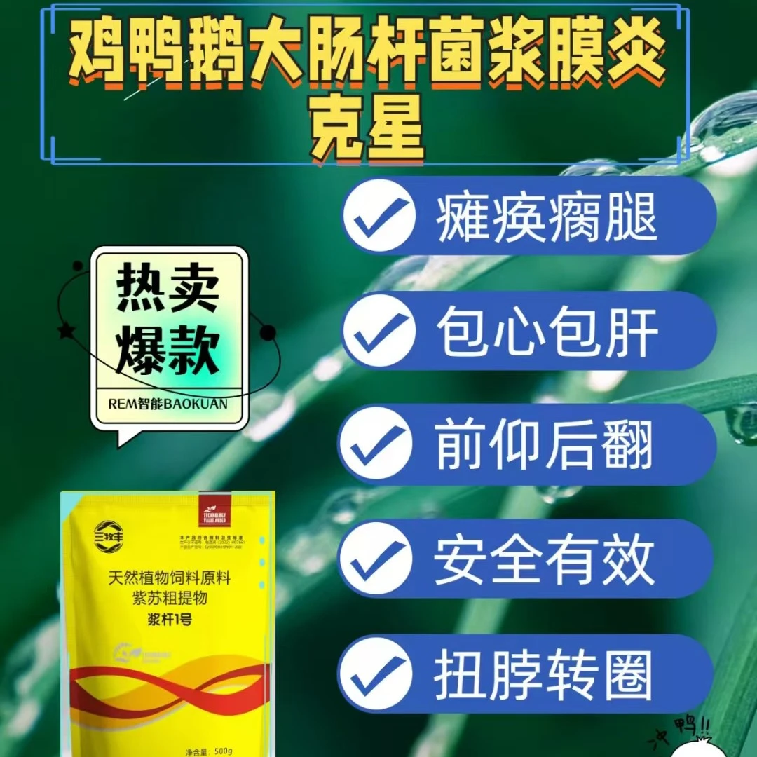 浆杆1号腿软腿瘸包心包肝