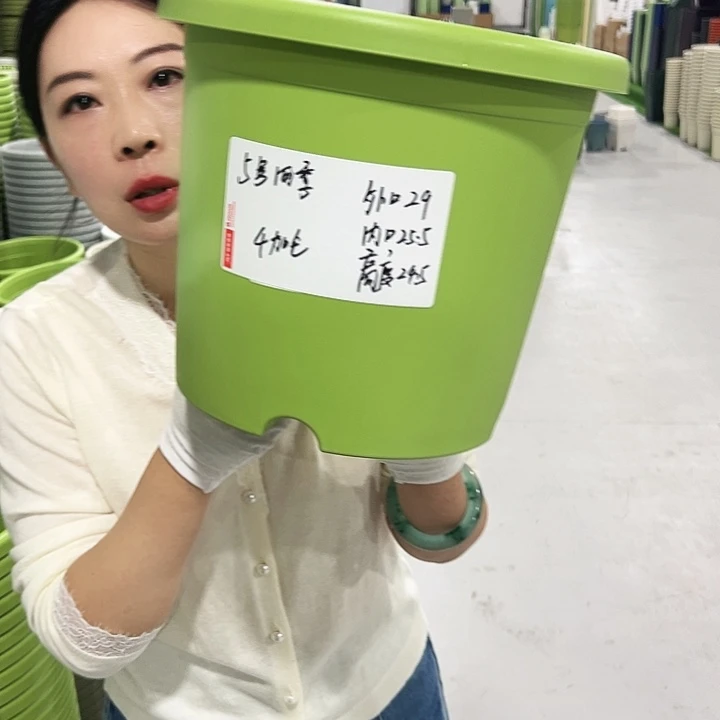 特价5号四季口29高24.5白色5只无托