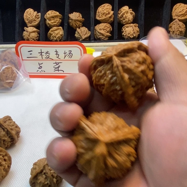 ****帅无花朵核桃的品种繁多和111111554554种以上