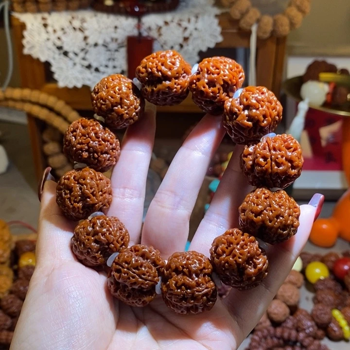 金刚菩提手串235玉华树王满肉高货一物