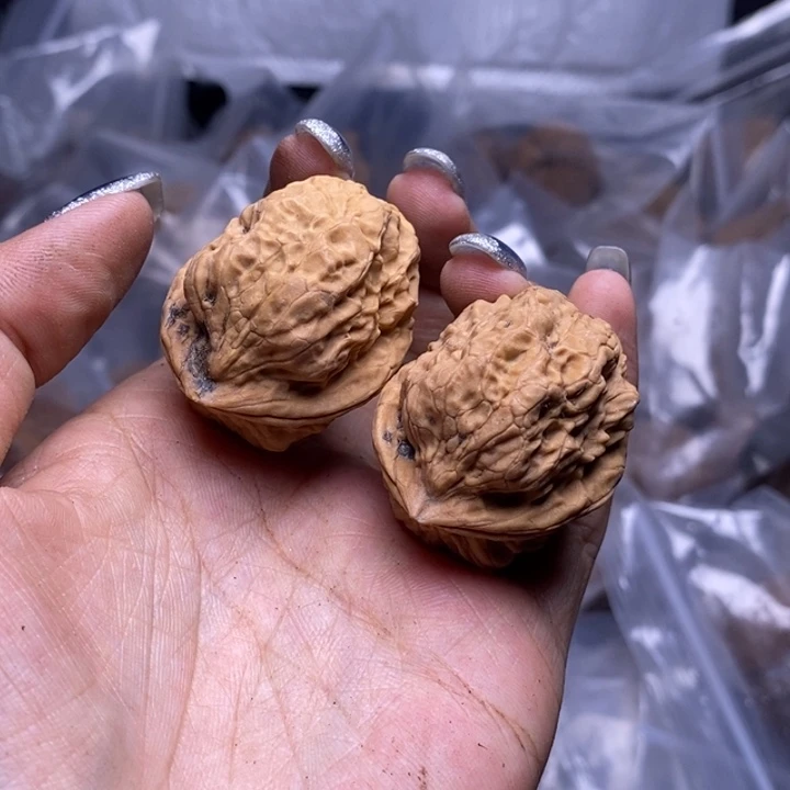 核桃云南野生铁核桃122号36mm