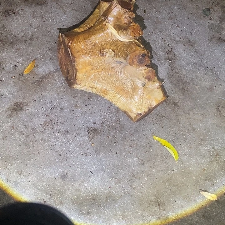 太***了楠木（金丝楠）其他