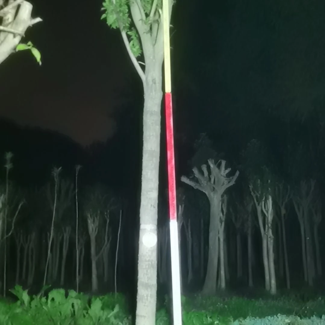 当前无花栽培后可以开花