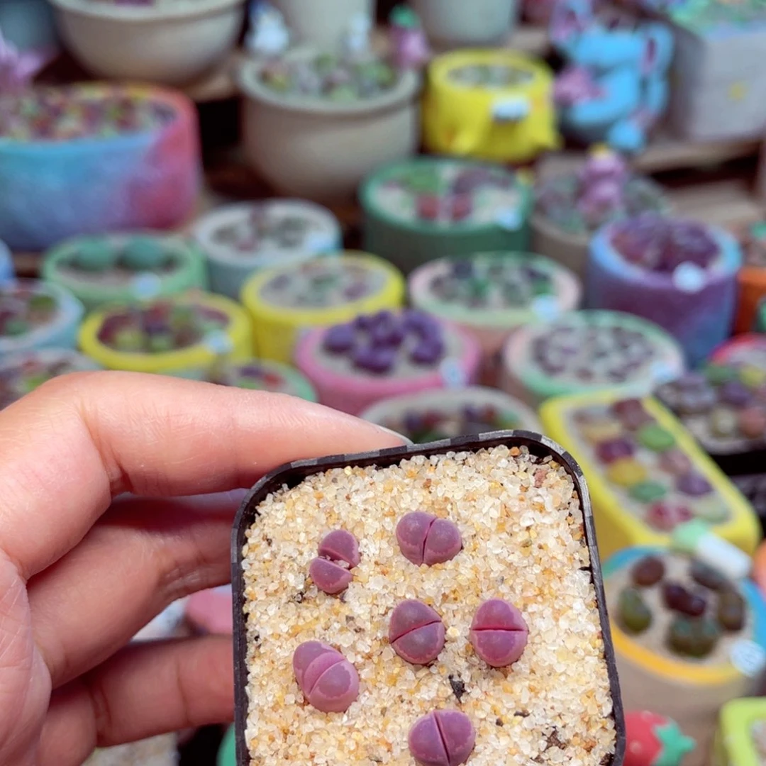 409.  888888888888888999