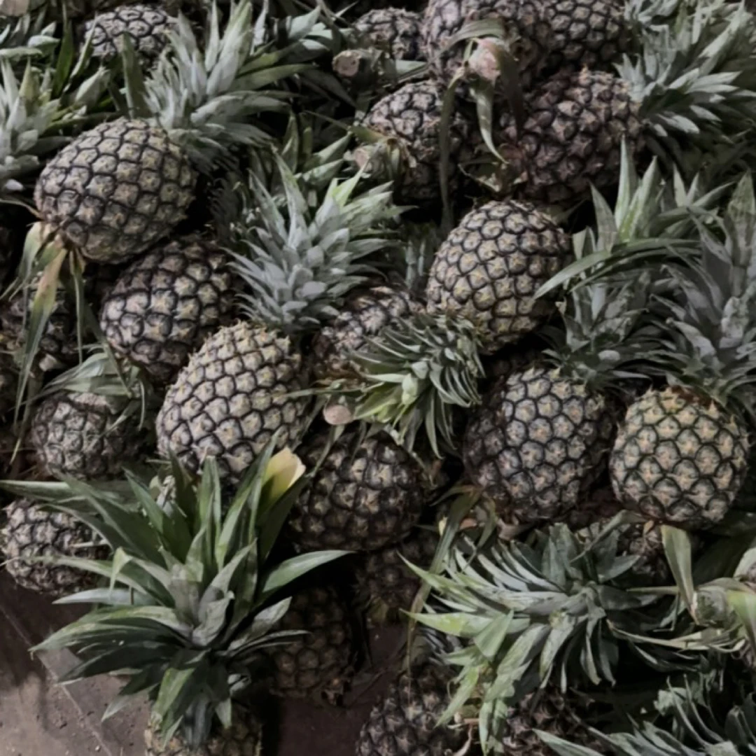自然熟新鲜多汁凤梨当季热带水果香甜可口