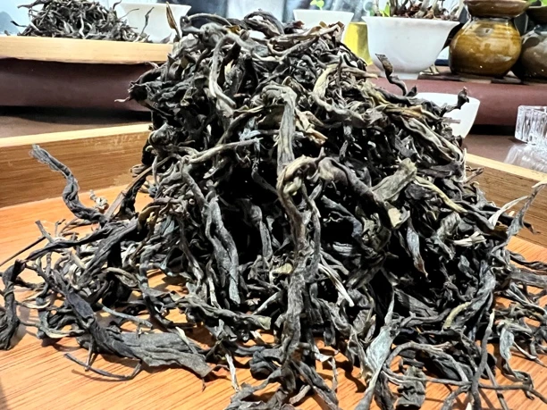 大雪山古树：云南福财的茶