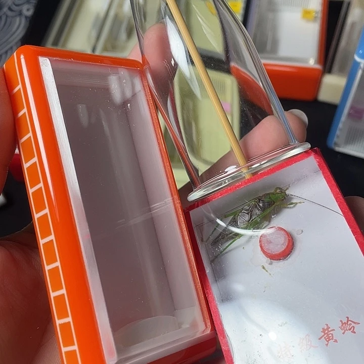 蟋蟀哈哈哈哈哈哈哈哈哈哈哈