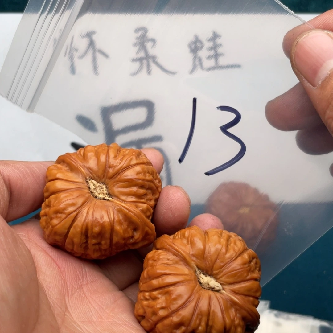 橄榄核手串/手链537573735537357