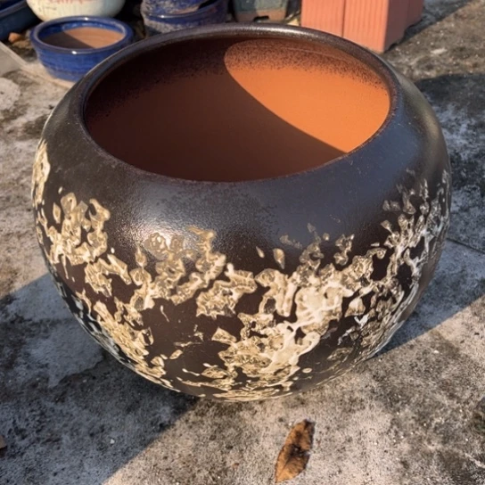 红陶口22高23正品