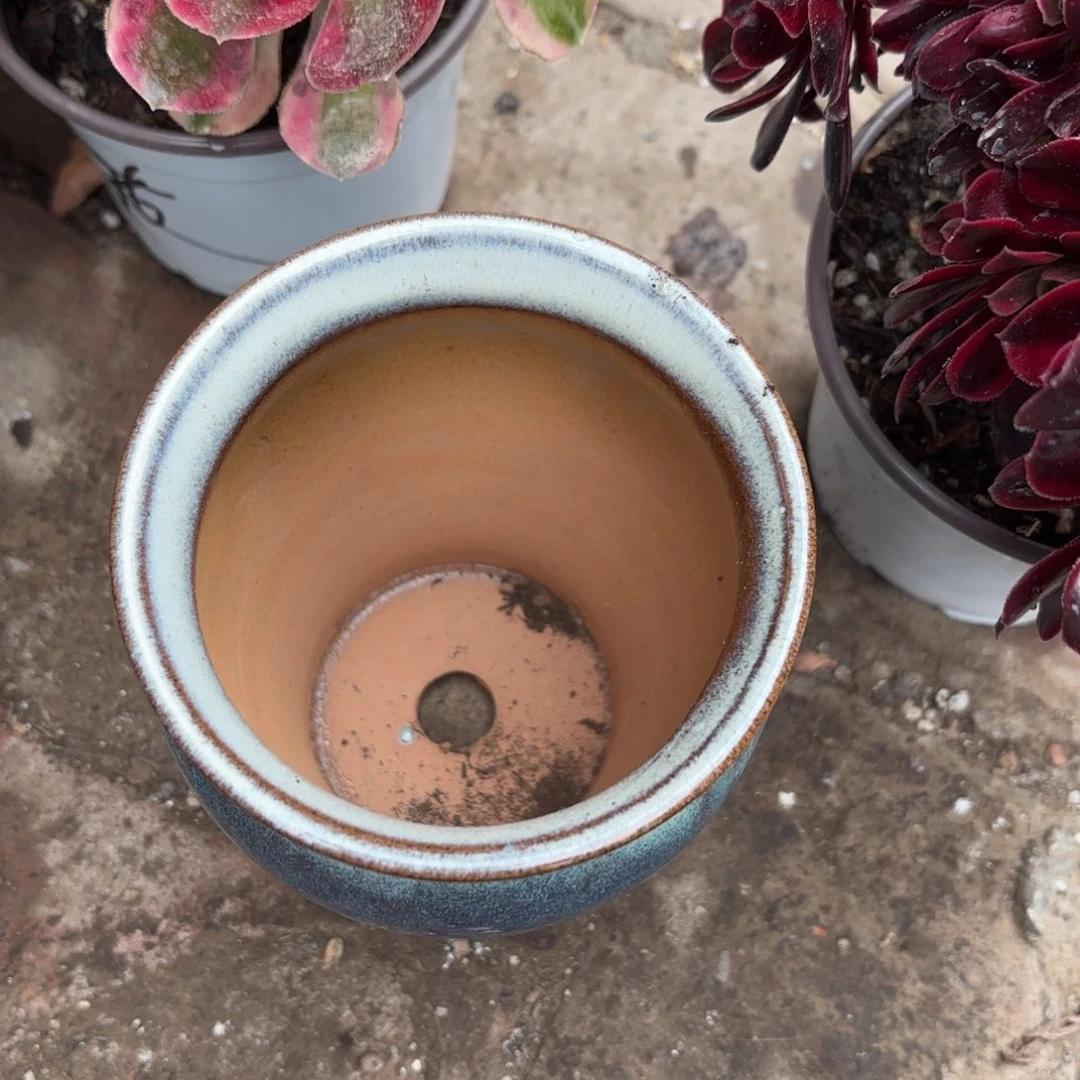 七**儿新疆包邮美杜莎盆一个