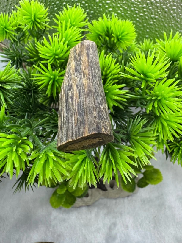 沉香绿棋金沙叶树心牌子/多样发货