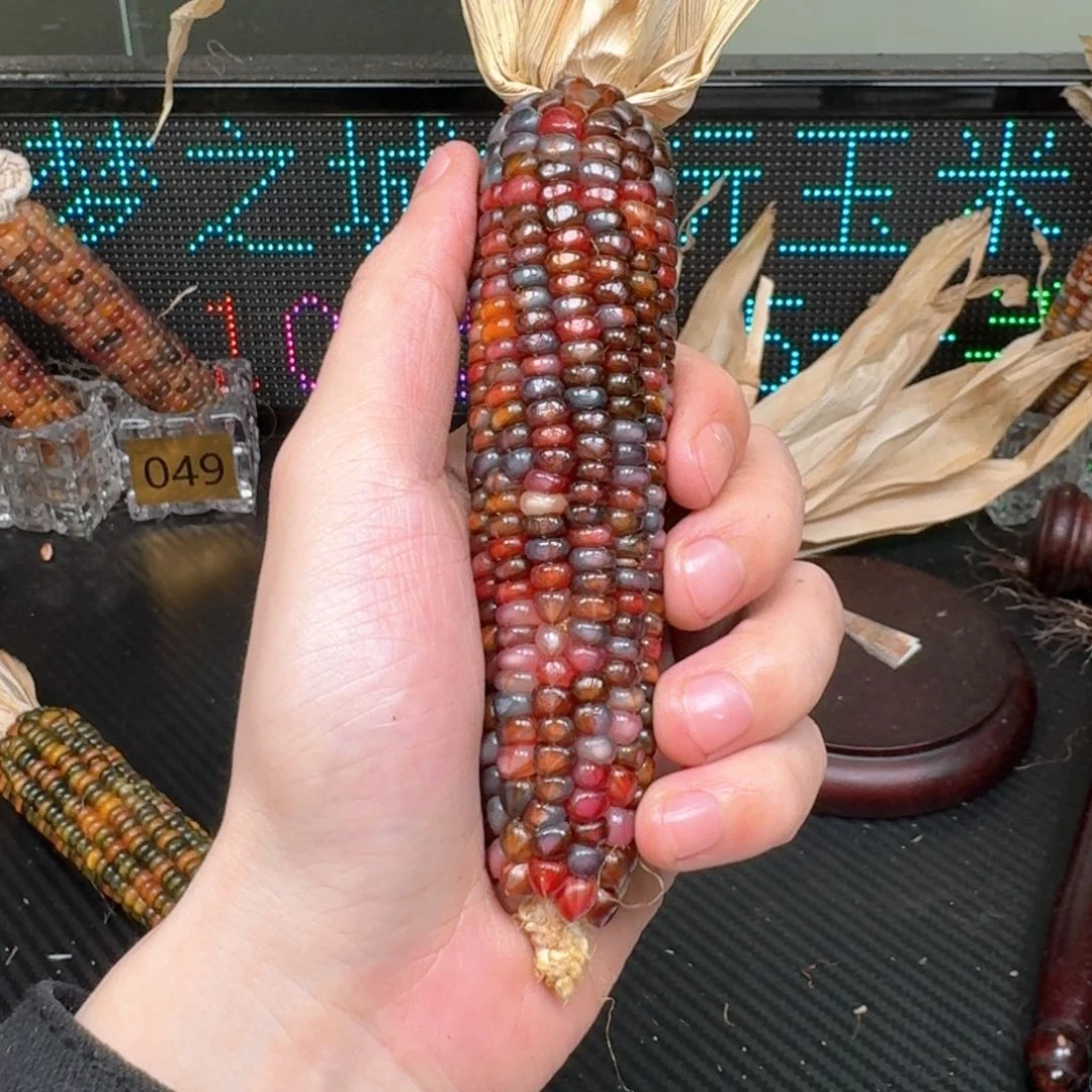 柏香籽/百香籽吊坠柚***檬