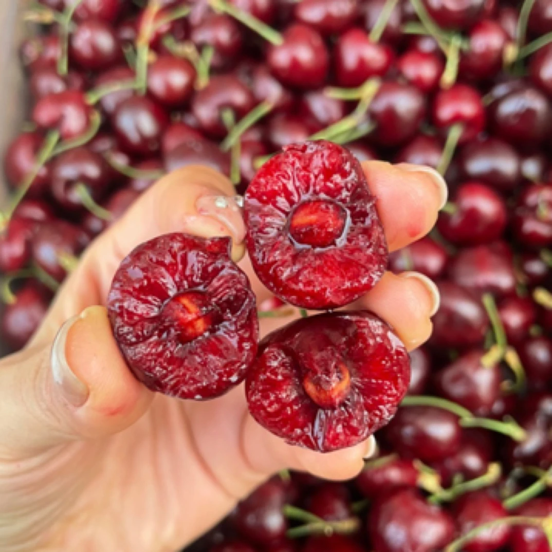 XL科迪亚车厘子羊毛款500克