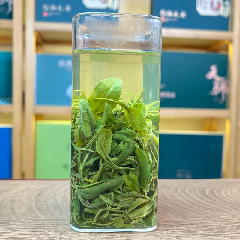 【大叶口粮茶】信阳毛尖2025雨前春茶嫩芽茶叶炒青绿茶毛尖