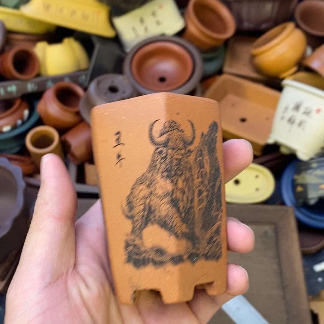 vvvvvvvvvvvvvvvvvvvvvvvv