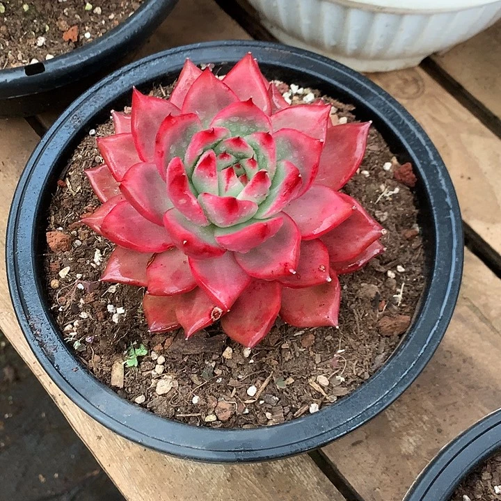 每周特价活动开始啦