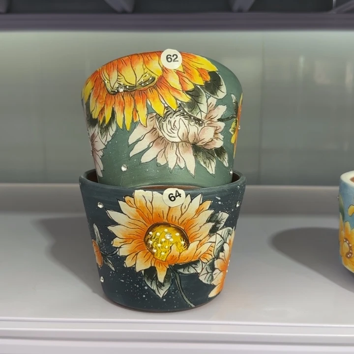 红陶田小姐多肉花盆