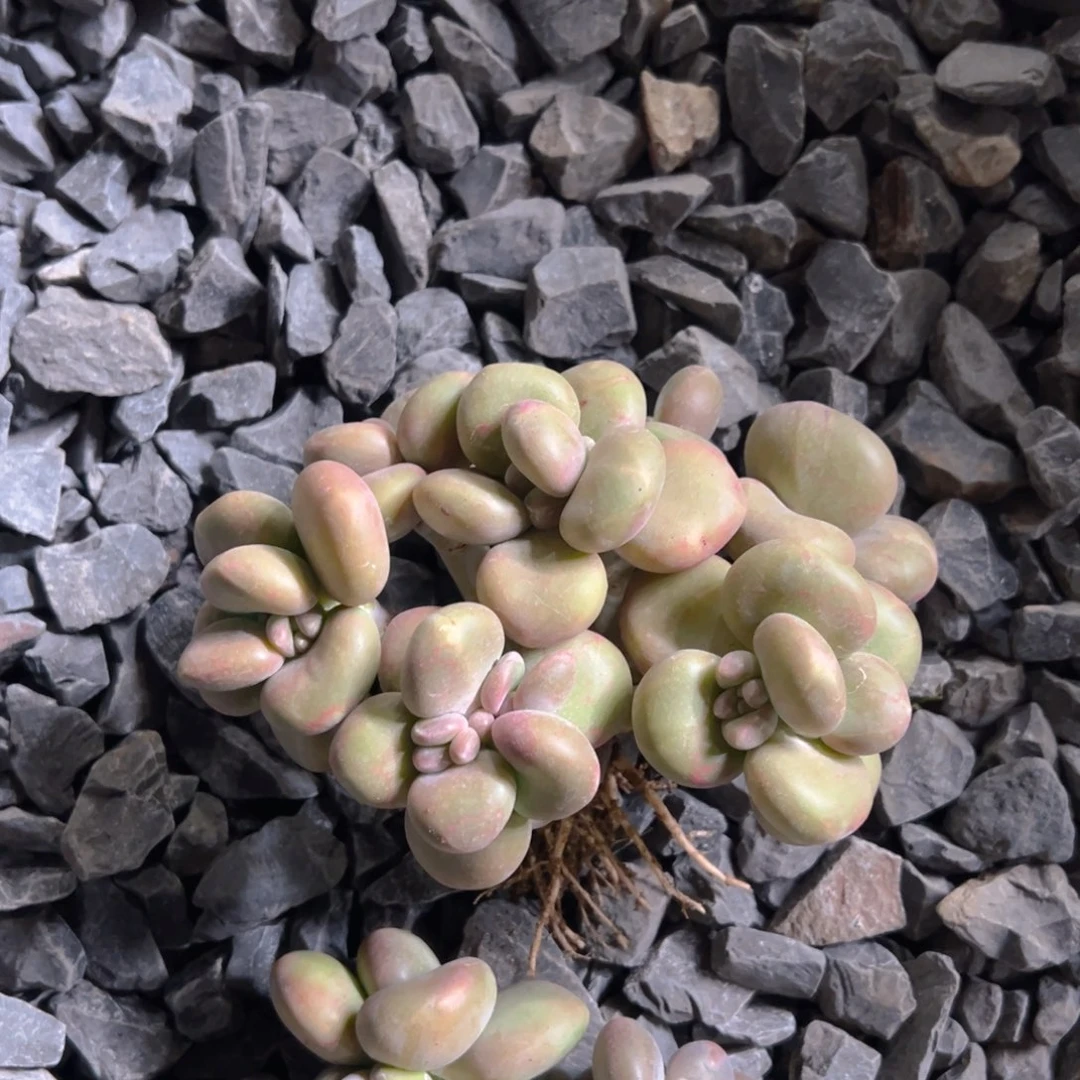 淼淼111111111111111111