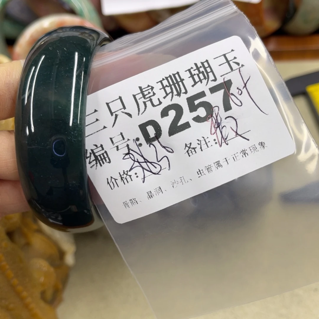 *****硅化珊瑚（珊瑚玉）未镶嵌h