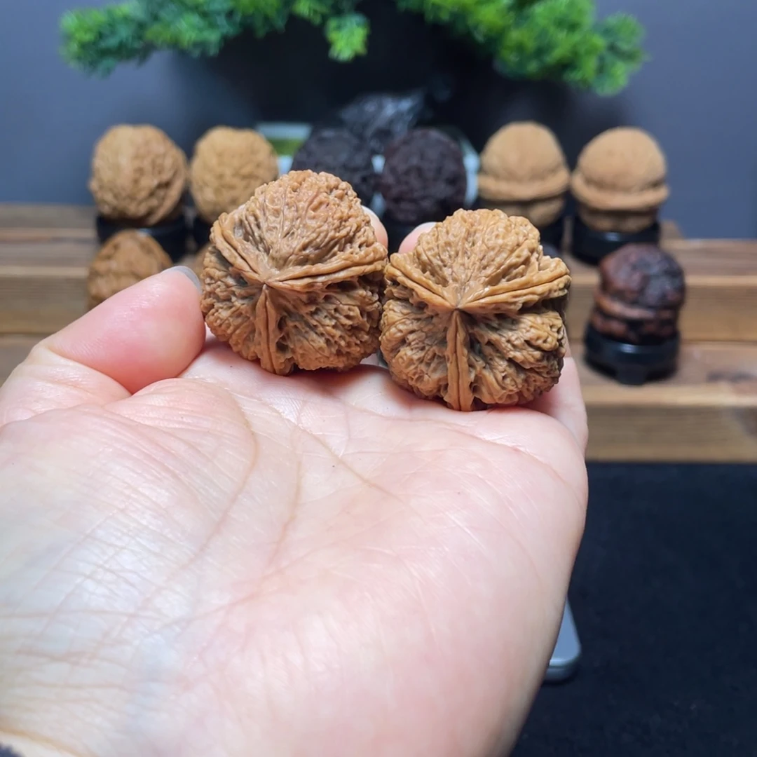 文玩核桃把件云南铁核桃5