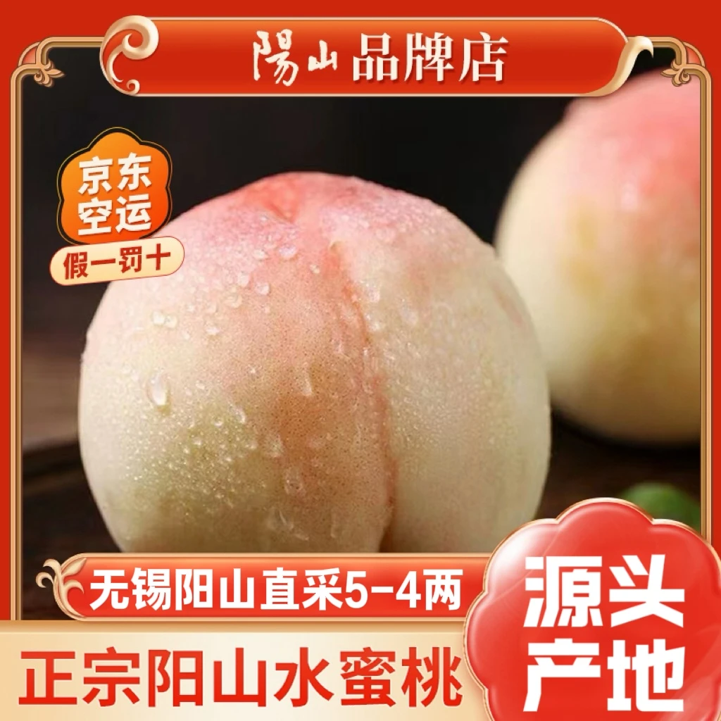 【5-4两】正宗无锡阳山水蜜桃现摘现发香甜爆汁应季水果200g当季新鲜水果桃子江苏省