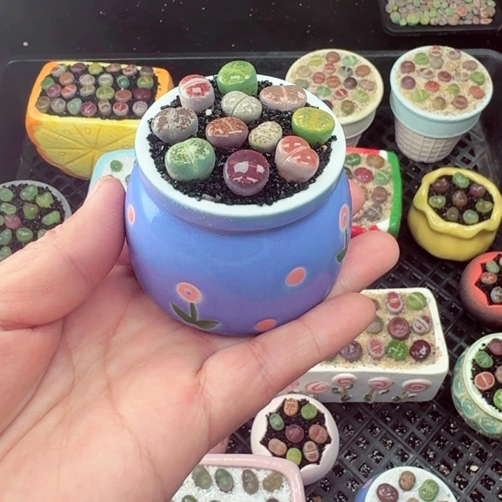 639零下地区记得拍保温小箱满18包邮