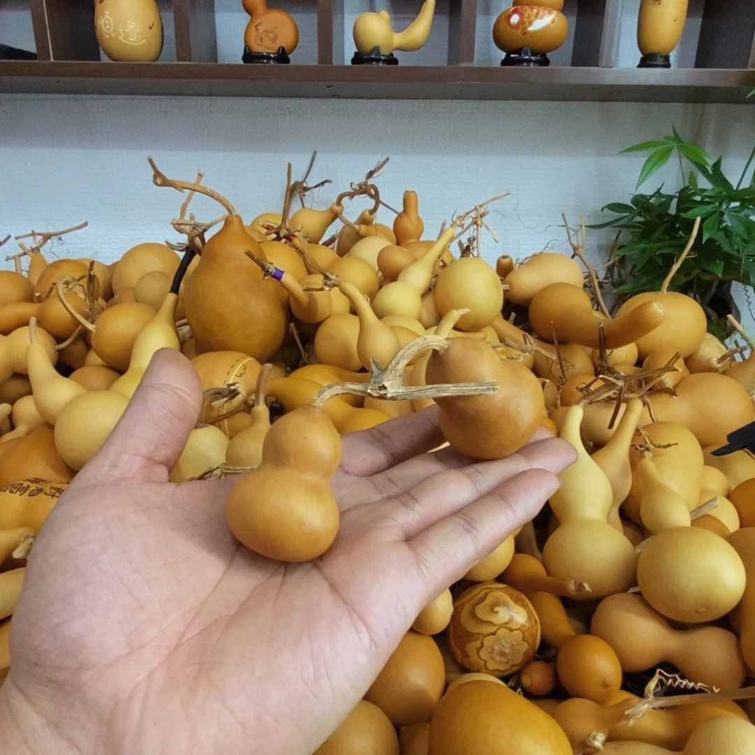清***云直播间链接，文玩葫芦