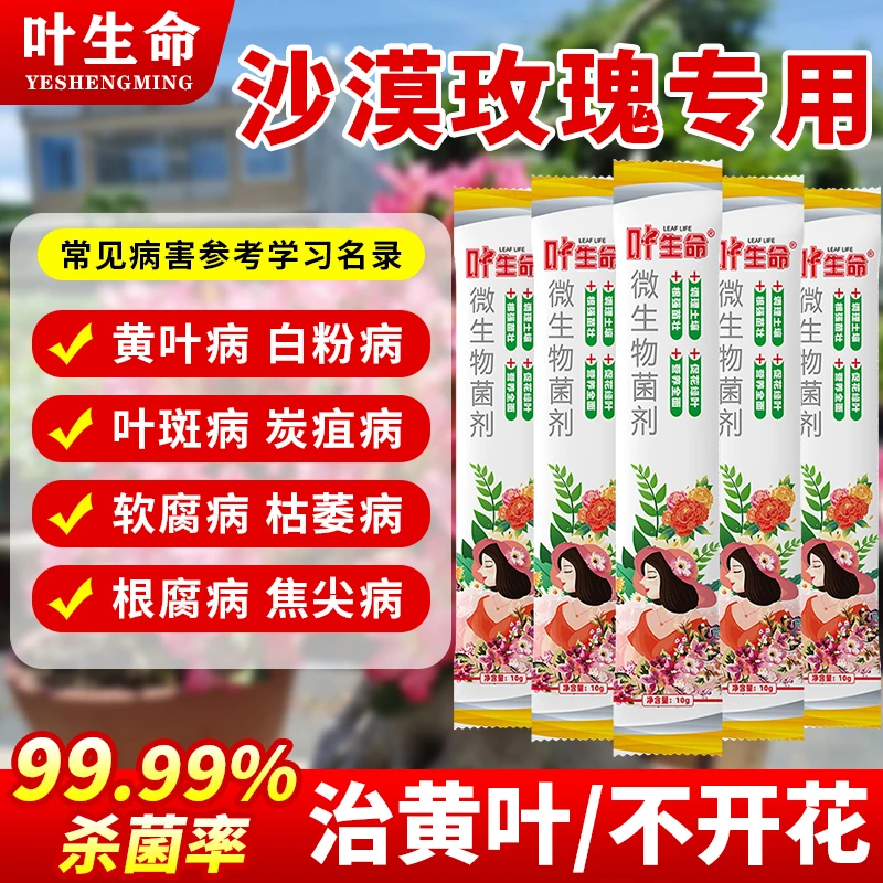 沙漠玫瑰专用药黄叶掉叶枯枝不开花绿叶壮苗促开花微生物菌肥 