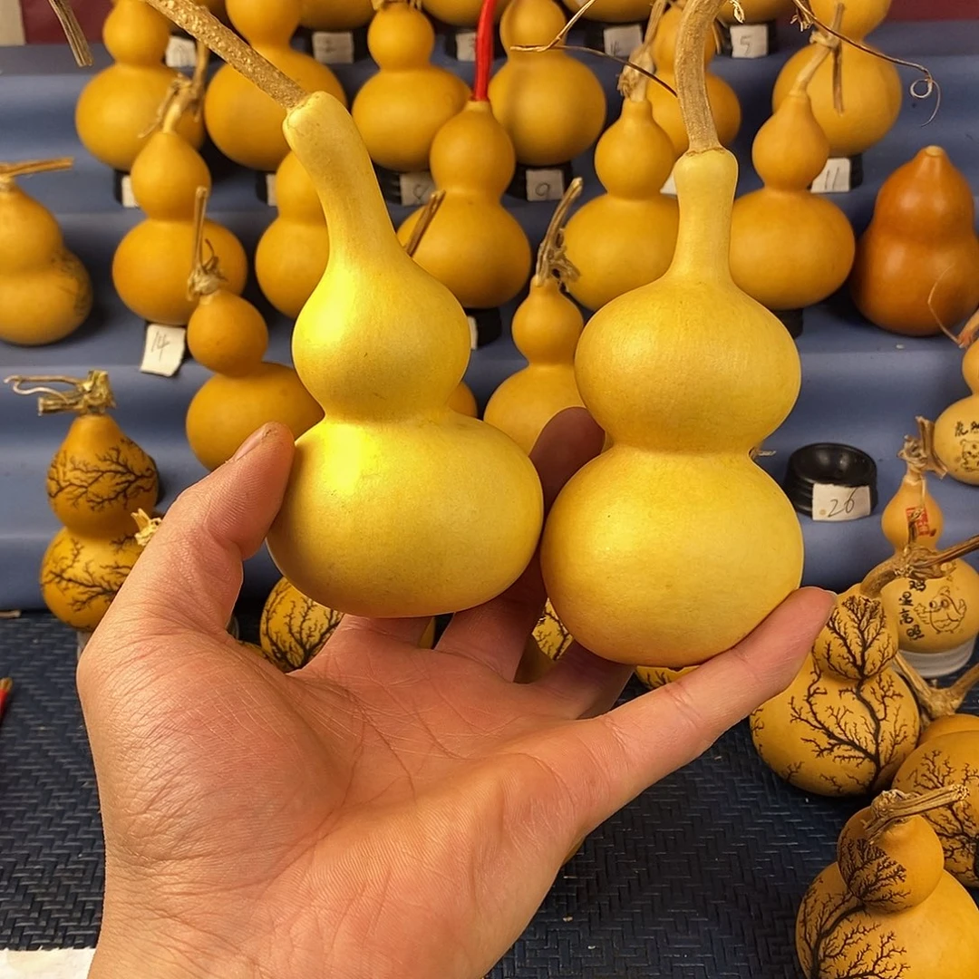 一物一拍，所见即所得