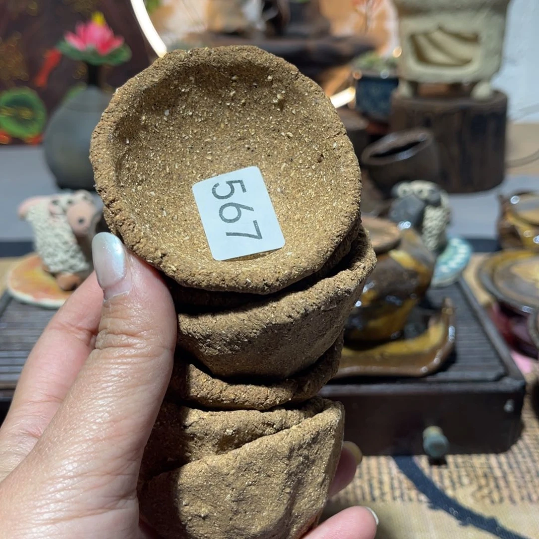 木村信弘柴烧保平