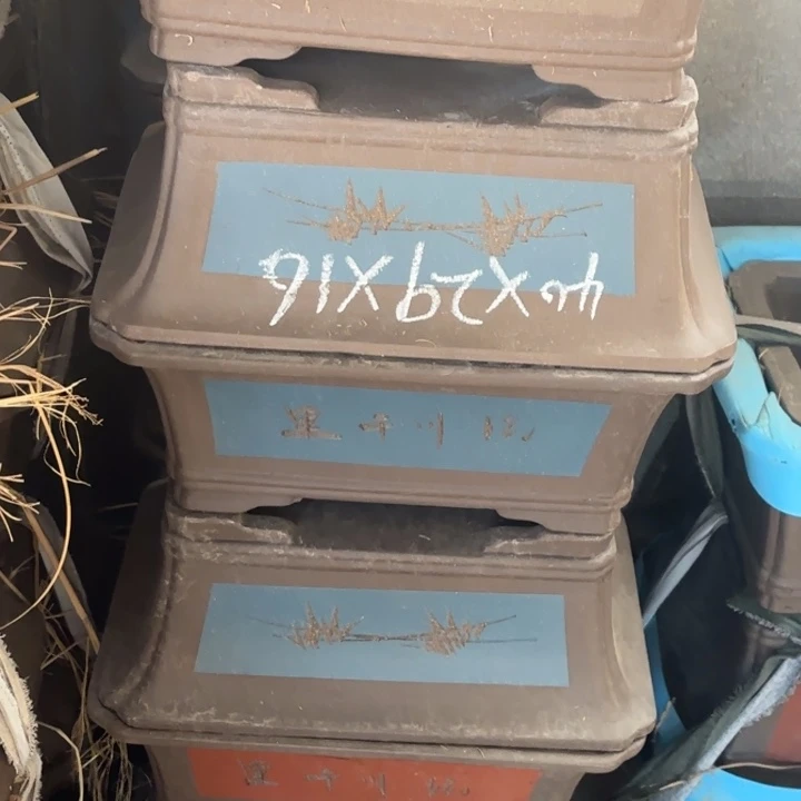 紫砂花盆              80-2