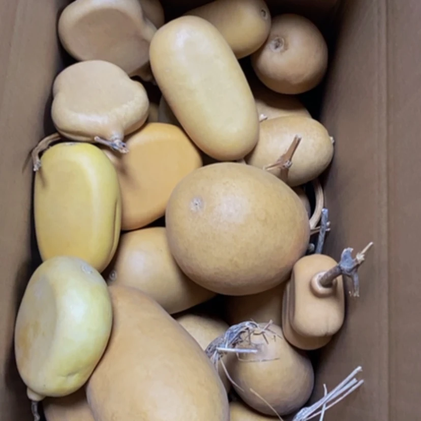 【闪购商品】二十个冬瓜加十个抽扁五十块钱