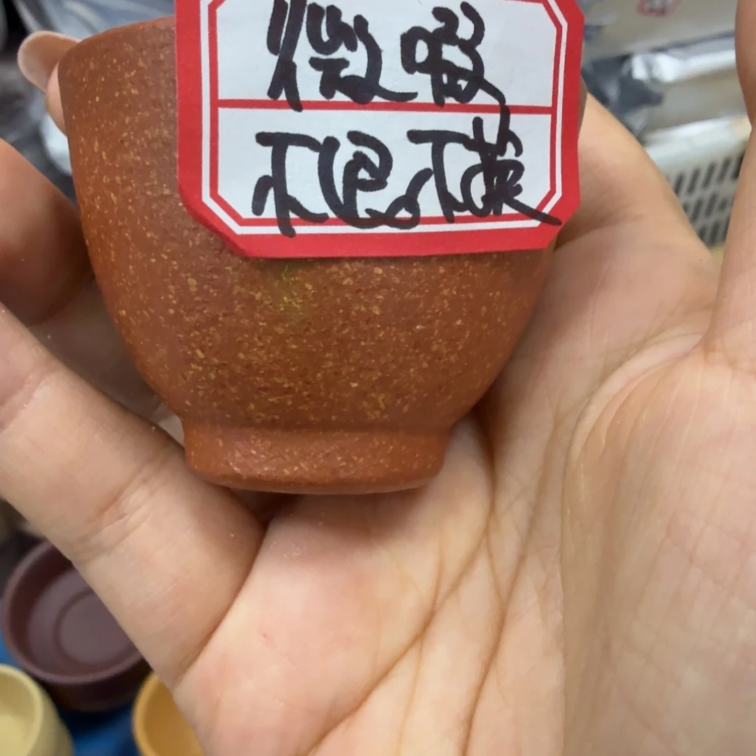 茶壶紫砂黄龙山原矿沉香