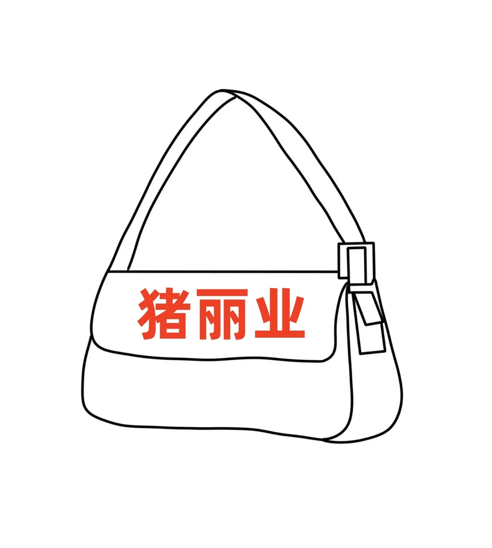 2025新款朱丽叶手提包