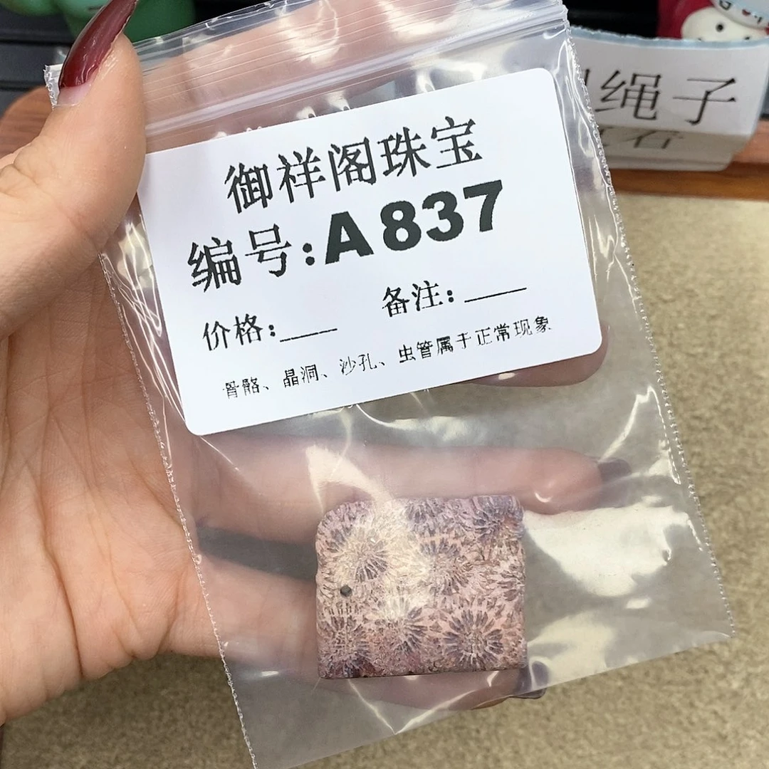 硅化珊瑚（珊瑚玉）A未镶嵌君*