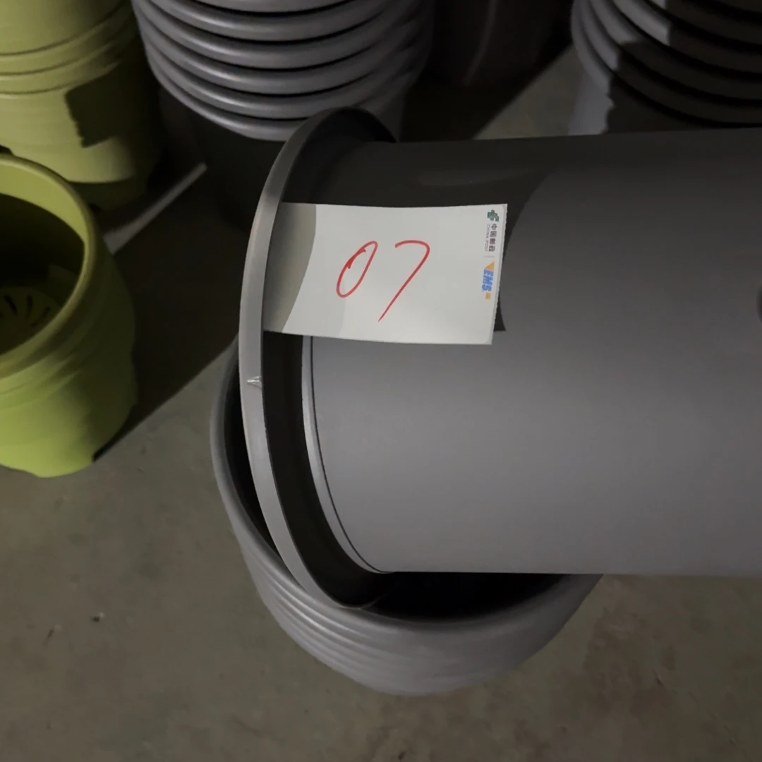 编号是07号的07号的