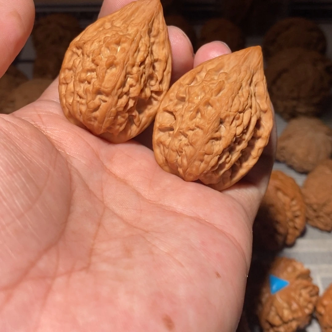 桐****文玩核桃把件011吸血鬼34尺