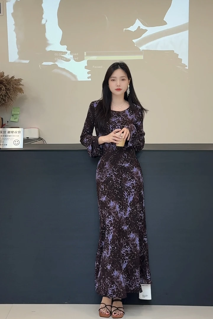 摩洛哥豹纹印花长袖连衣裙2025春秋气质修身显瘦慵懒风度假长裙