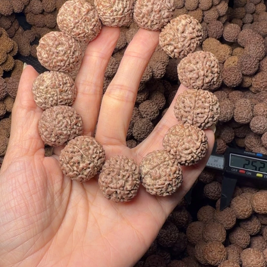 手串金刚菩提8瓣卡23尺，99号