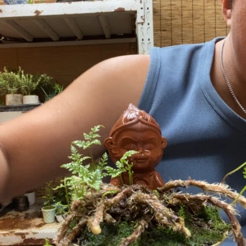 红陶?****一物一拍所见即所得171