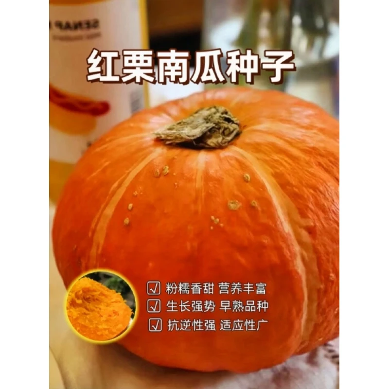 A-027【满3包包邮  满5包送一包】珍宝红栗南瓜种子