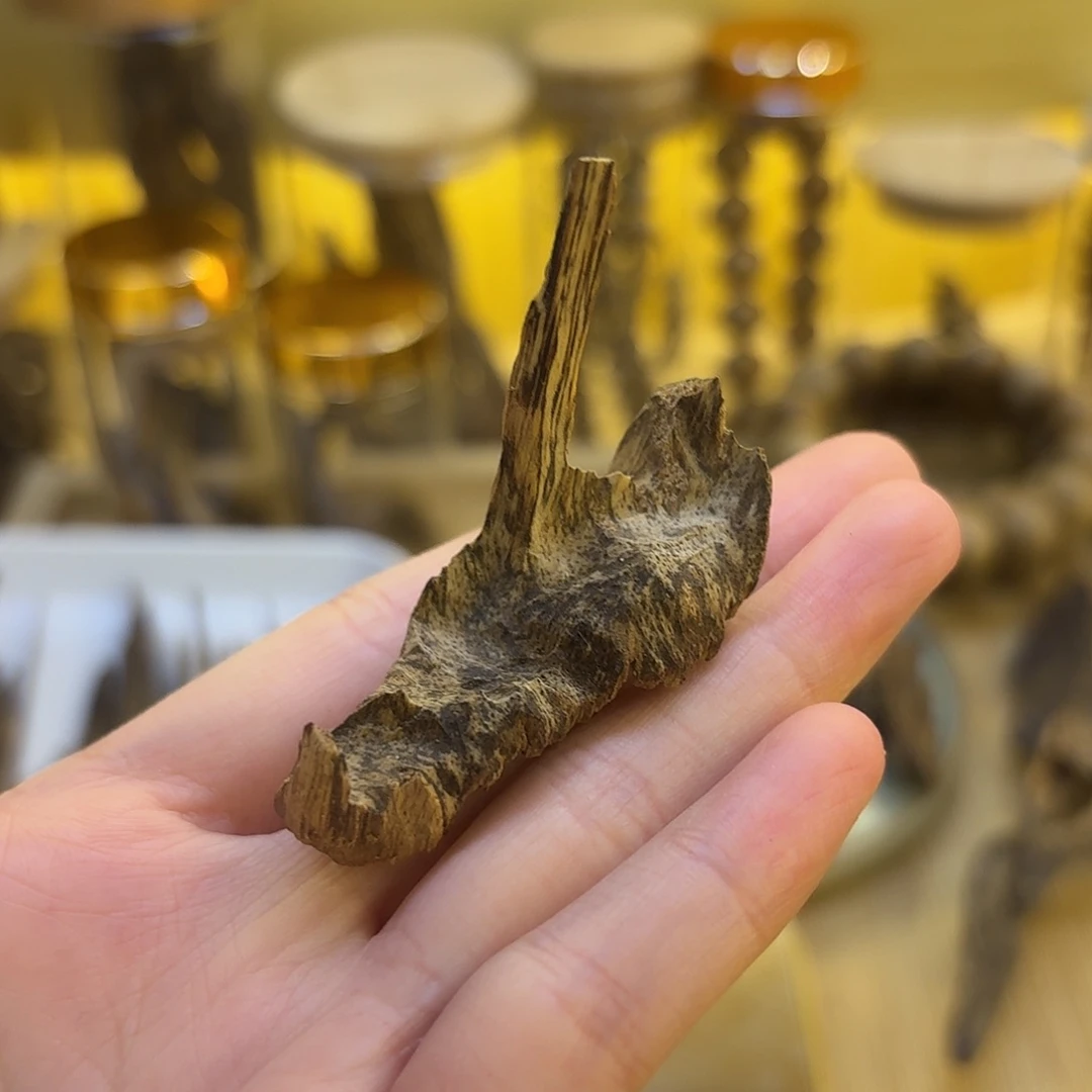 海南沉香包头2.73克