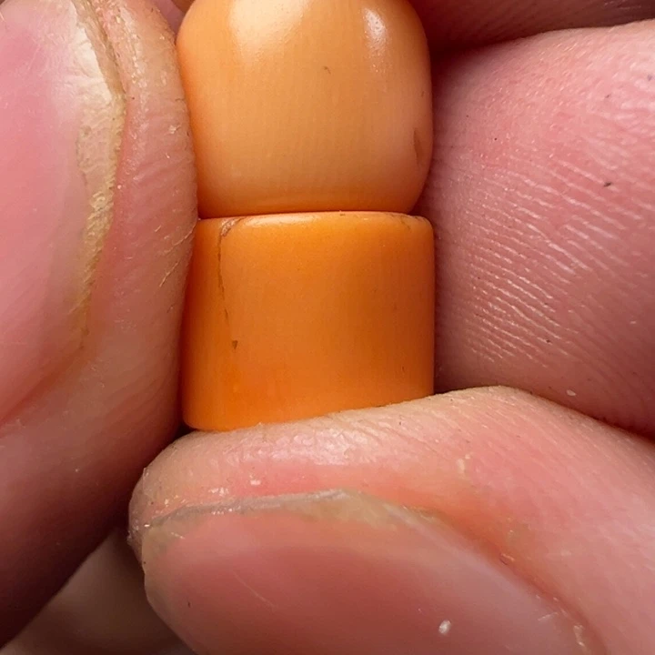 我们都会在这里等